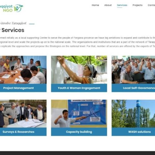 Website for NGO Company