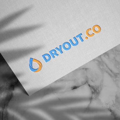 Logo Design for a Water Mitigation Company